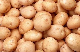 土豆bug网红吃瓜,揭秘娱乐圈幕后真相