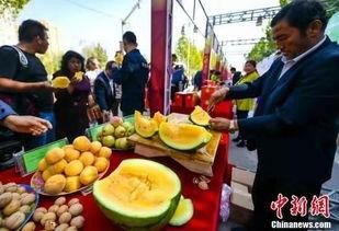 五一最新吃瓜爆料视频,热门视频爆料背后的惊人真相